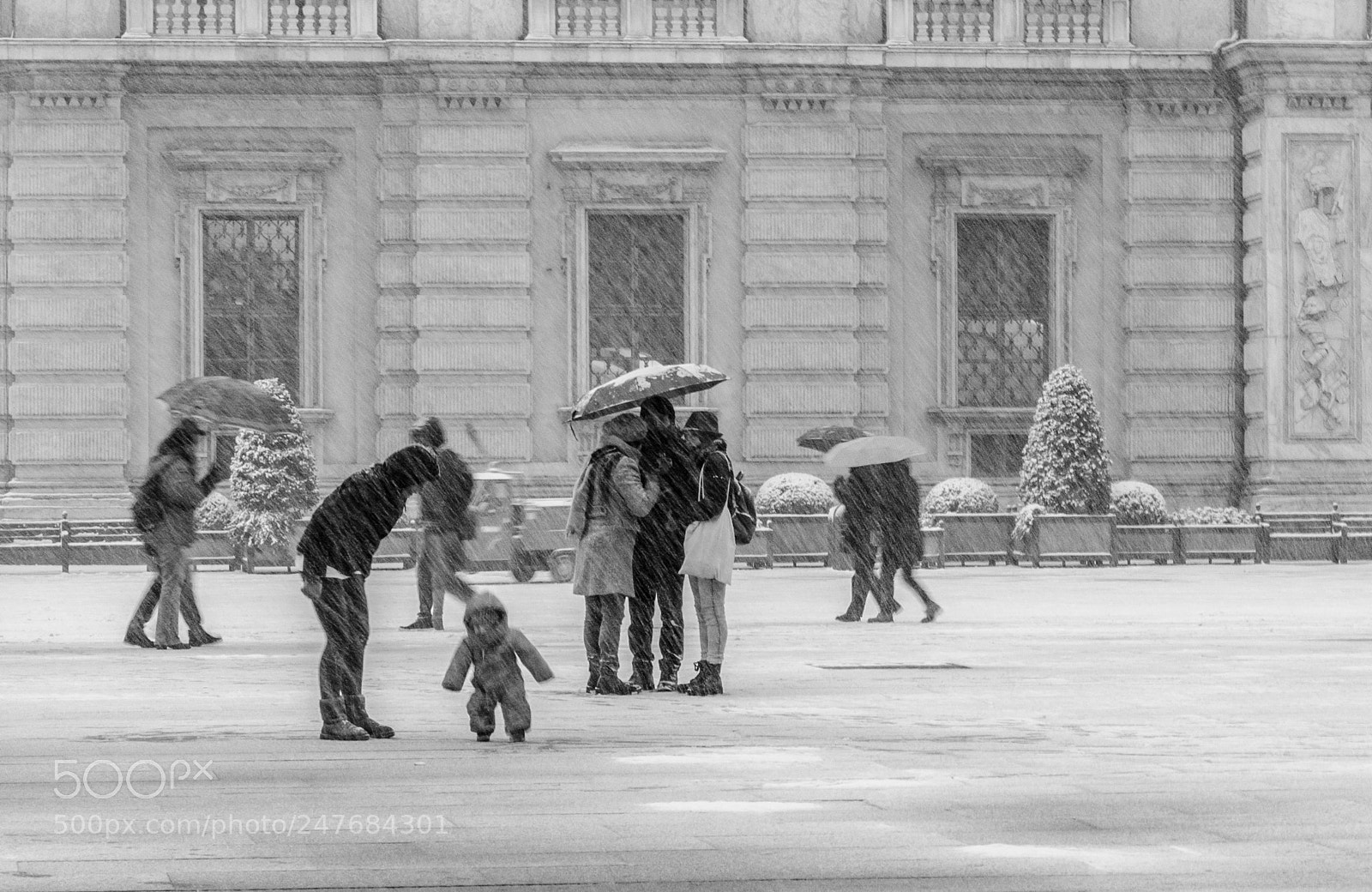 Nikon D5100 sample photo. Let it snow! photography