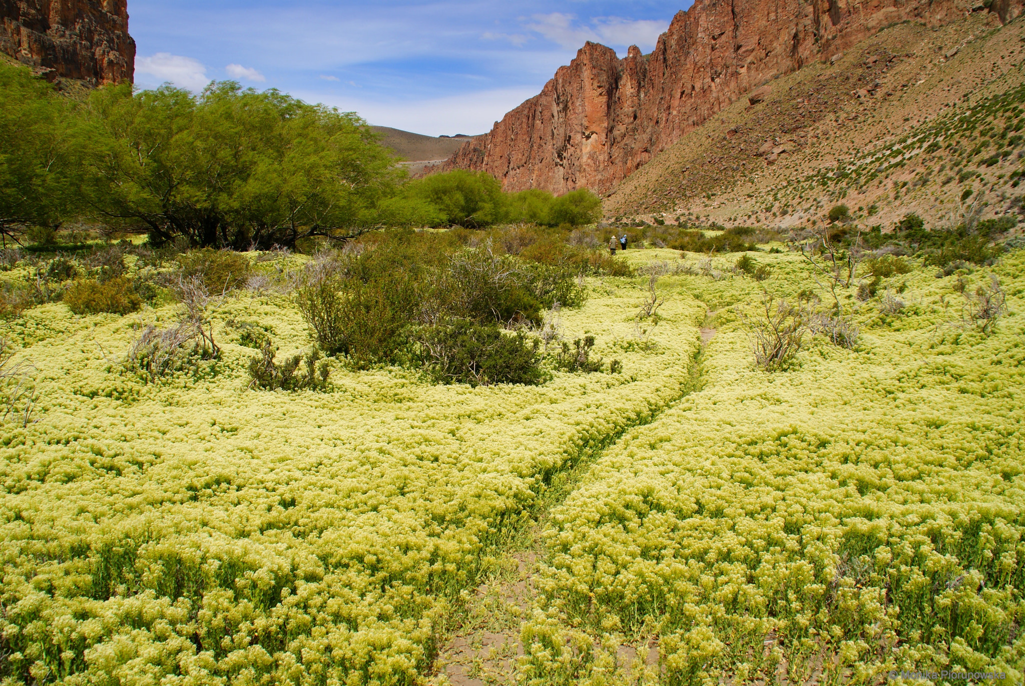 Sony Alpha DSLR-A300 sample photo. In patagonia photography