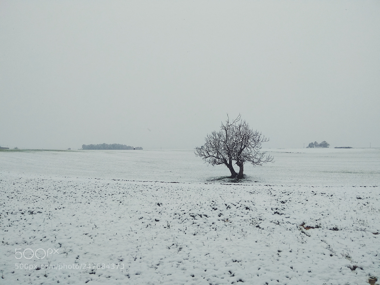 Xiaomi Redmi Note 4 sample photo. Snowing photography