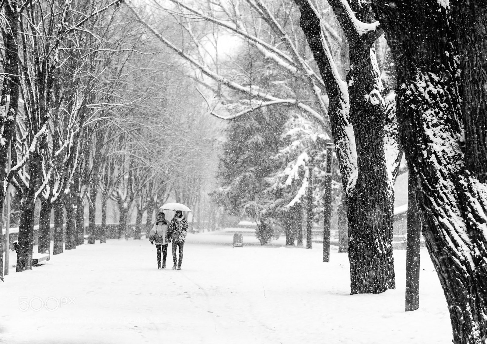 Nikon D7200 sample photo. Passeig blanc... photography