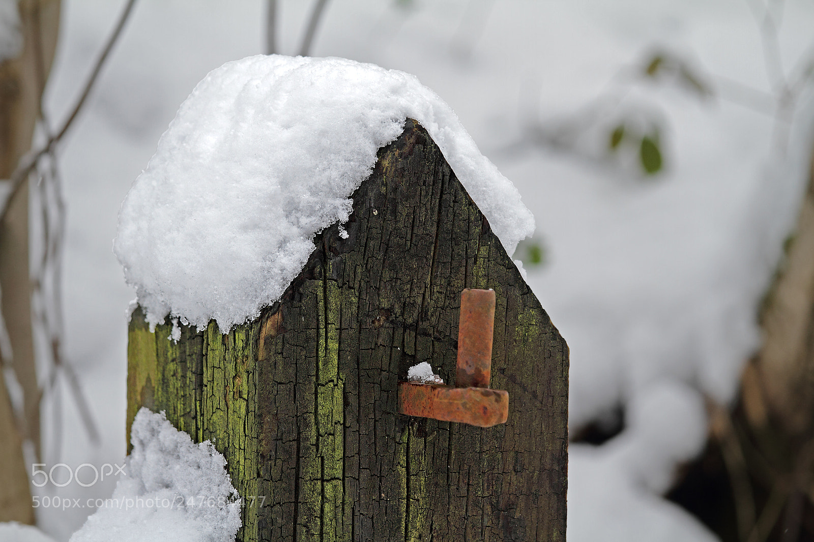 Canon EOS 7D sample photo. Fencepost castle eden dene photography