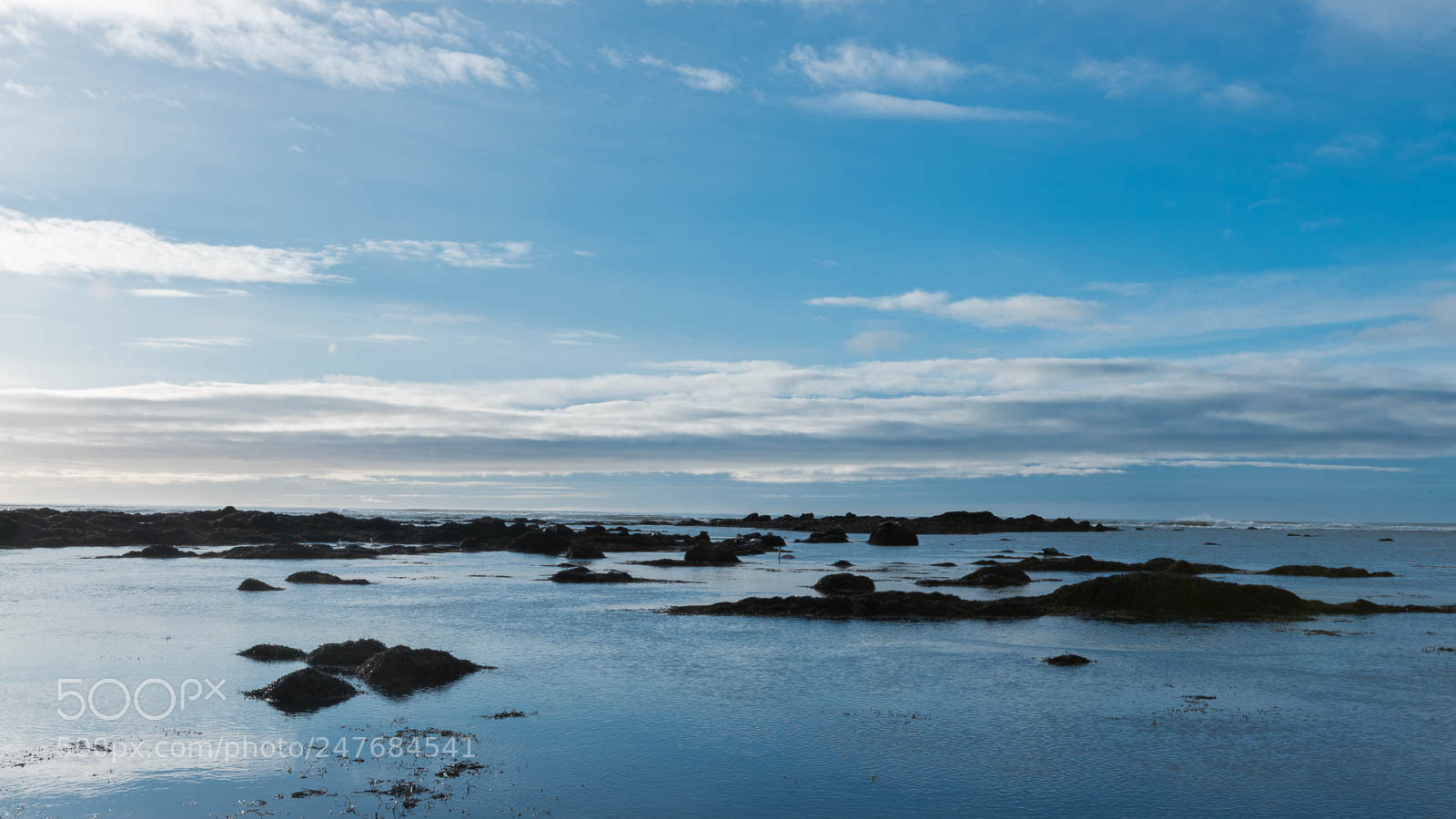 Canon EOS 6D Mark II sample photo. Untitled photography
