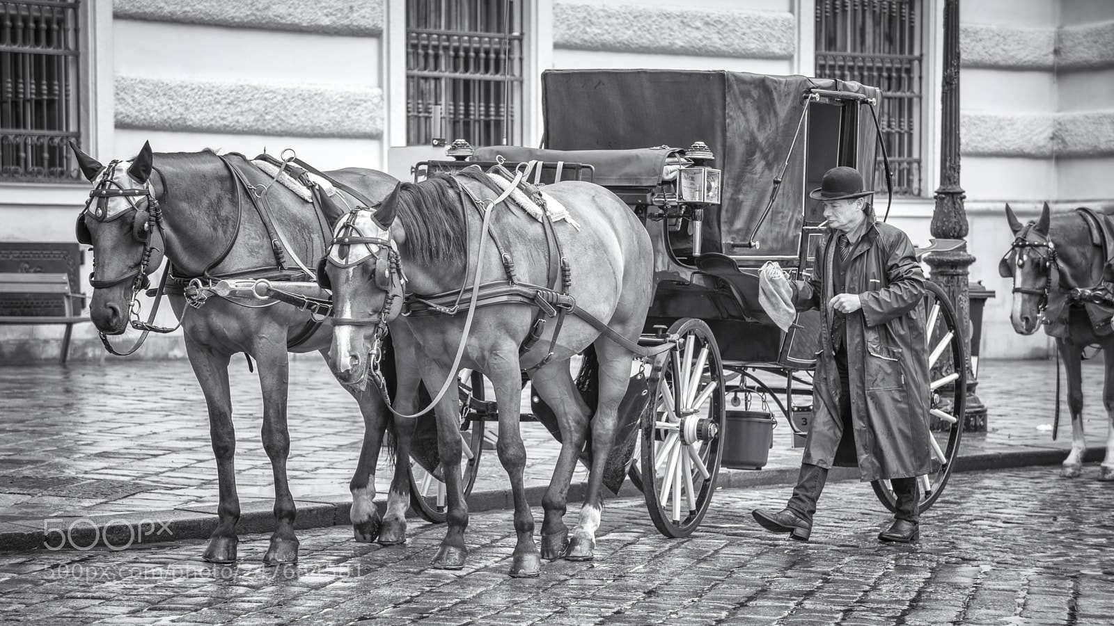 Nikon D600 sample photo. Coachman he's going to photography