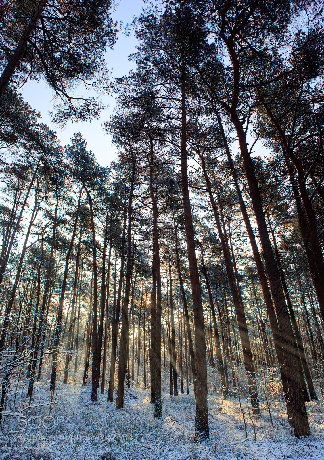 Canon EOS 1300D (EOS Rebel T6 / EOS Kiss X80) sample photo. Frostiges panorama photography