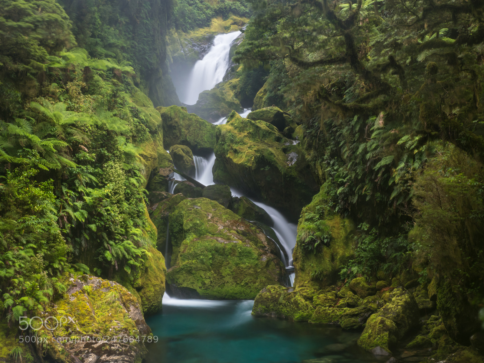 Olympus OM-D E-M1 Mark II sample photo. Mackay falls, milford track photography