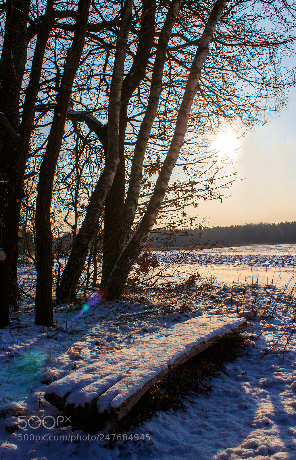 Canon EOS 1300D (EOS Rebel T6 / EOS Kiss X80) sample photo. Frostiger morgen photography