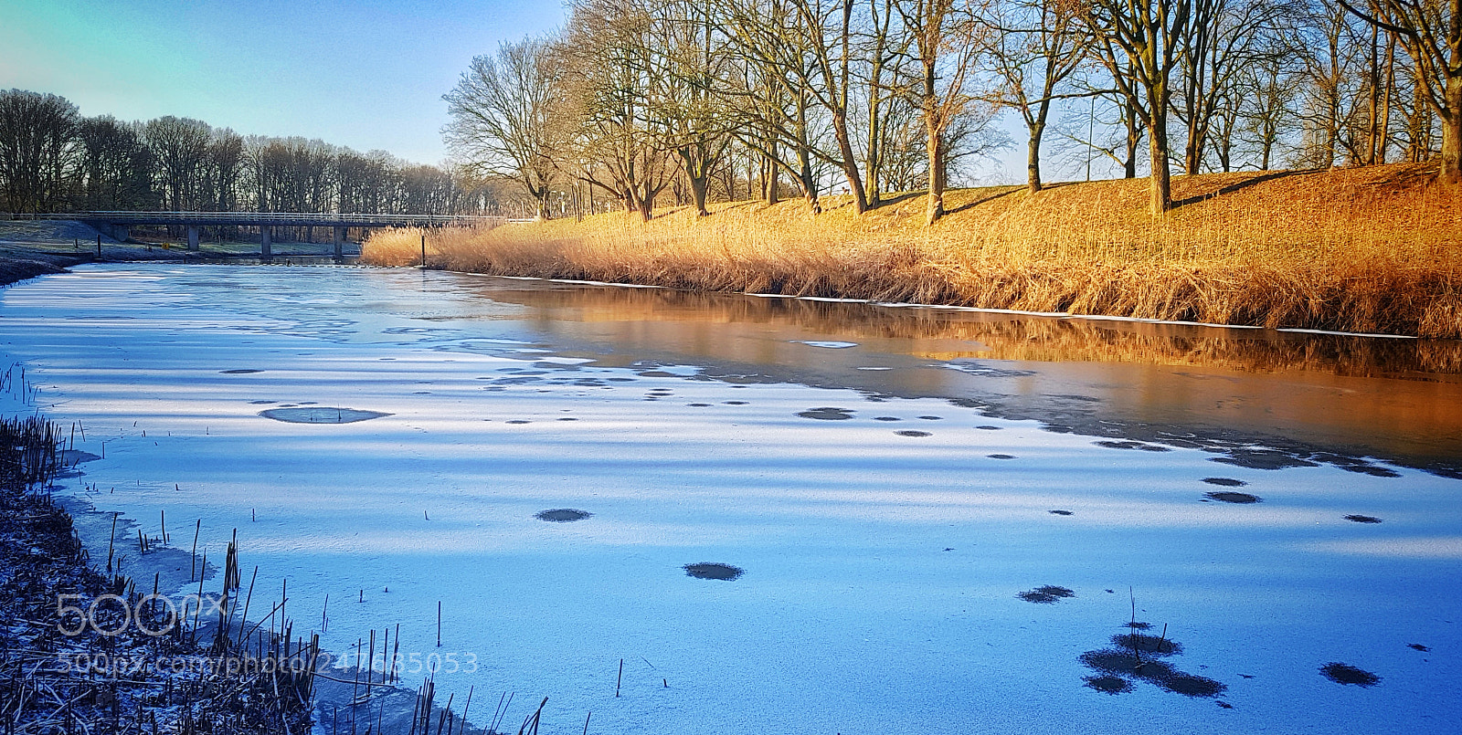 Samsung Galaxy S7 sample photo. Morning walk photography