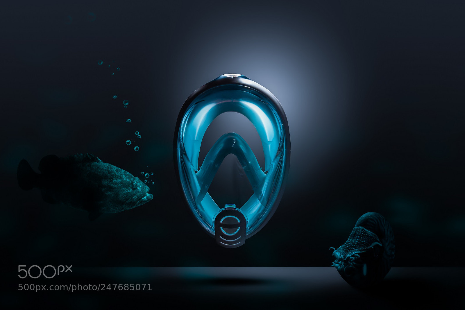 Nikon D810 sample photo. Masque plongé photography