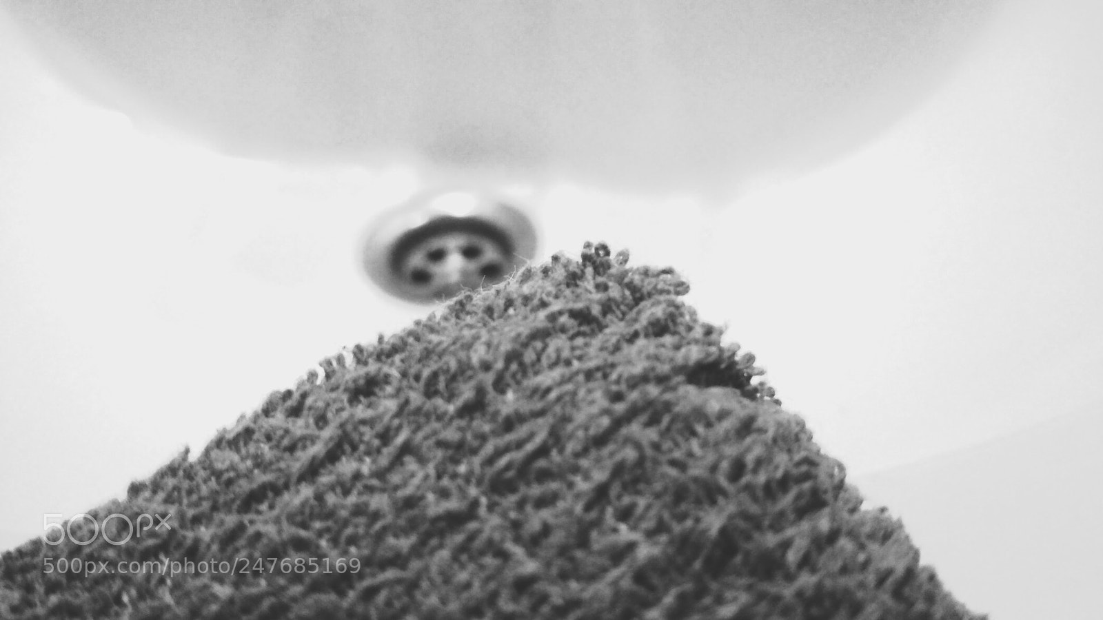 Xiaomi Redmi 4X sample photo. Sponge photography