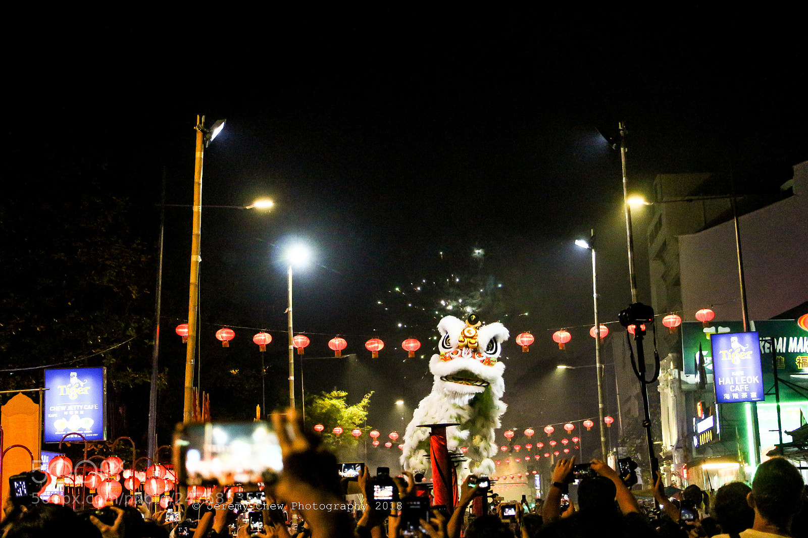 Canon EOS 700D (EOS Rebel T5i / EOS Kiss X7i) sample photo. Lion dance photography