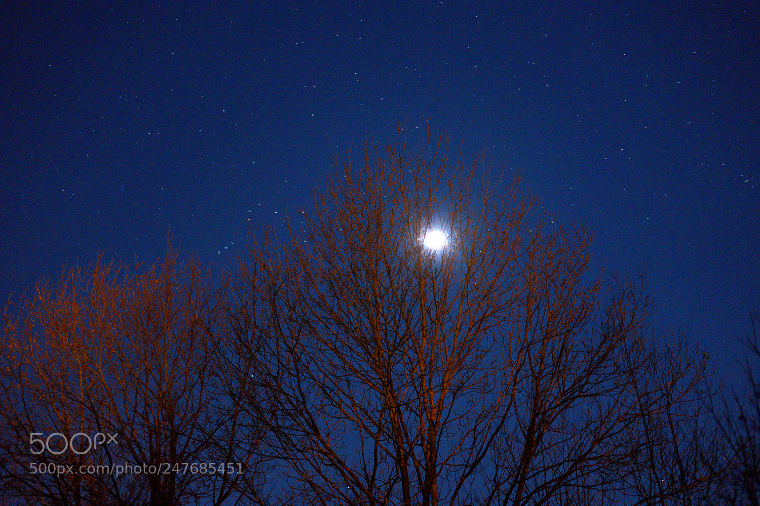 Sony a7 II sample photo. Untitled photography