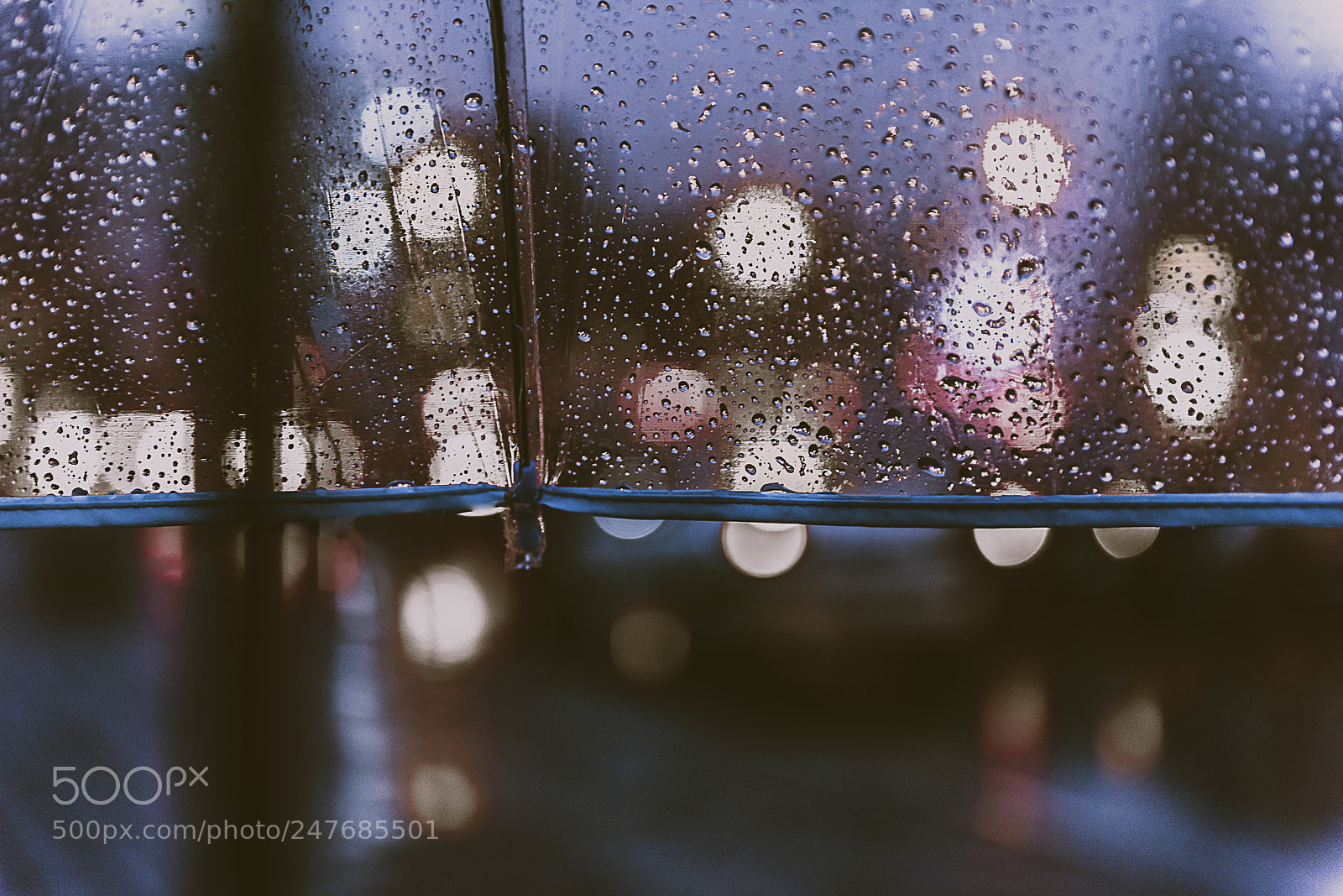 Nikon D810 sample photo. It's raining photography
