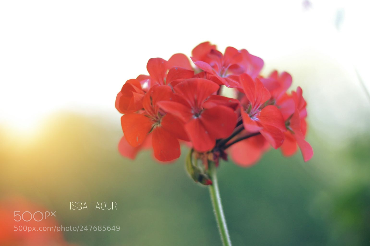 Nikon D5000 sample photo. Natrual coloring photography