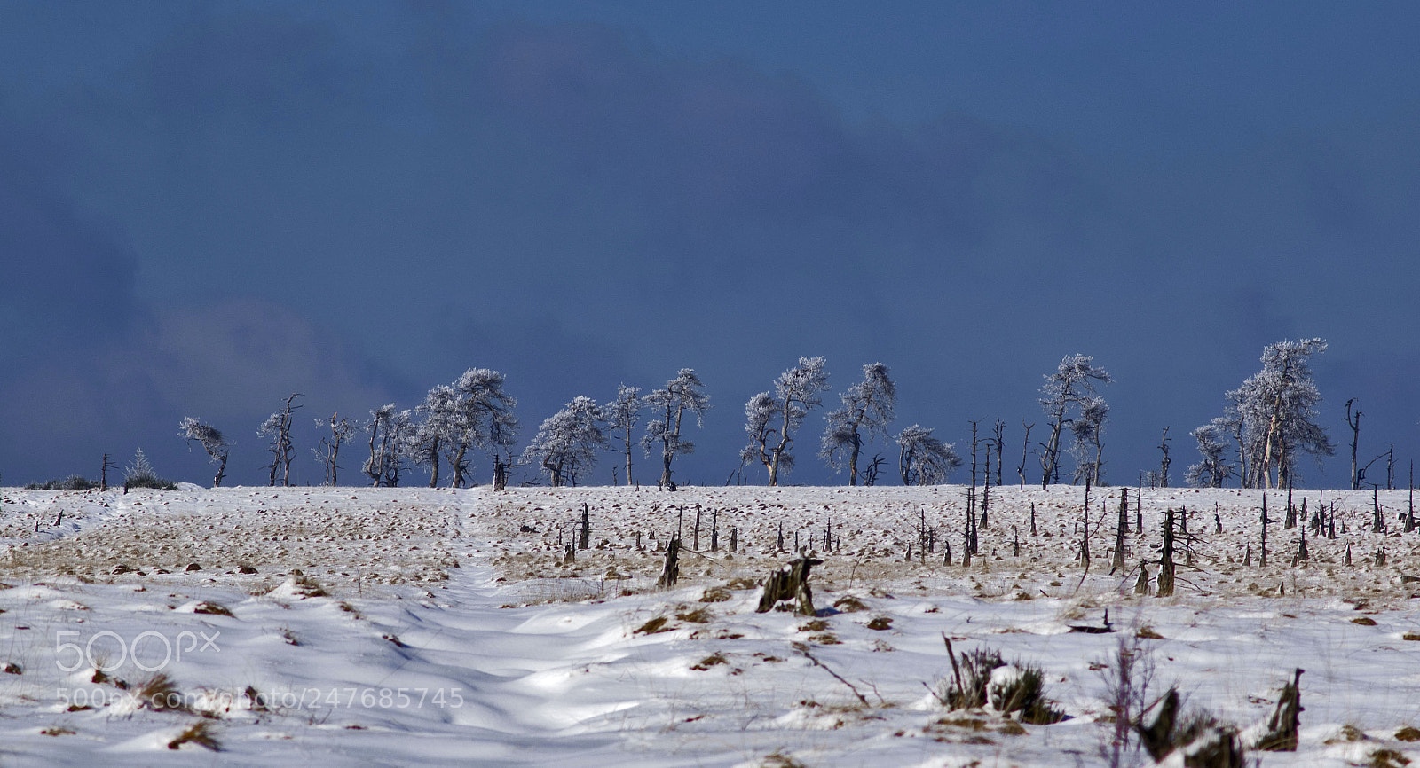 Olympus OM-D E-M1 sample photo. Winterscape north from signal photography