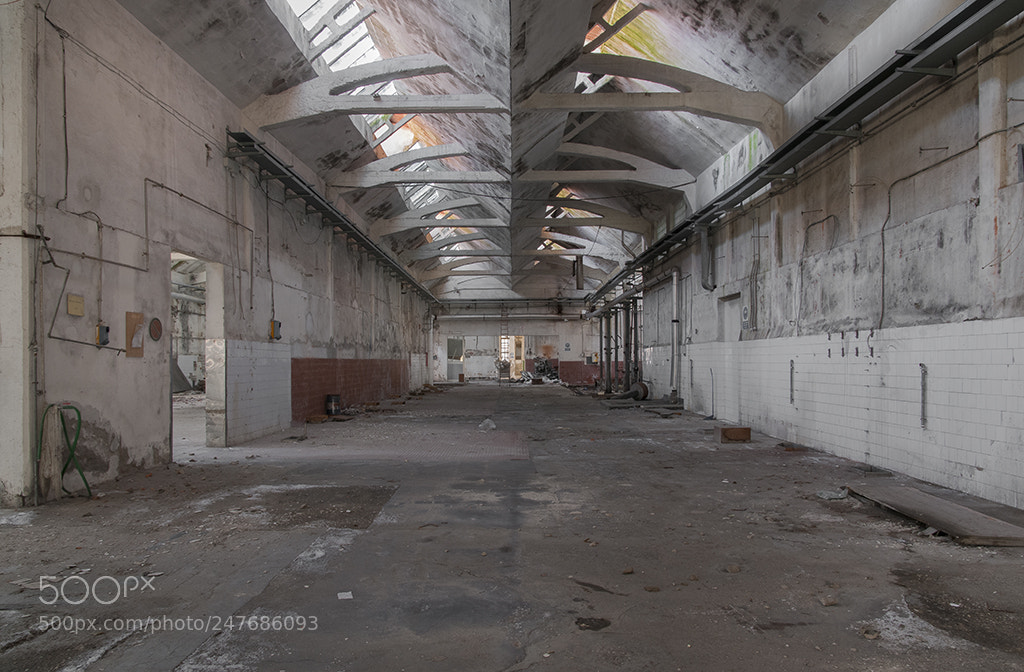Nikon D300 sample photo. Rivoluzione industriale photography
