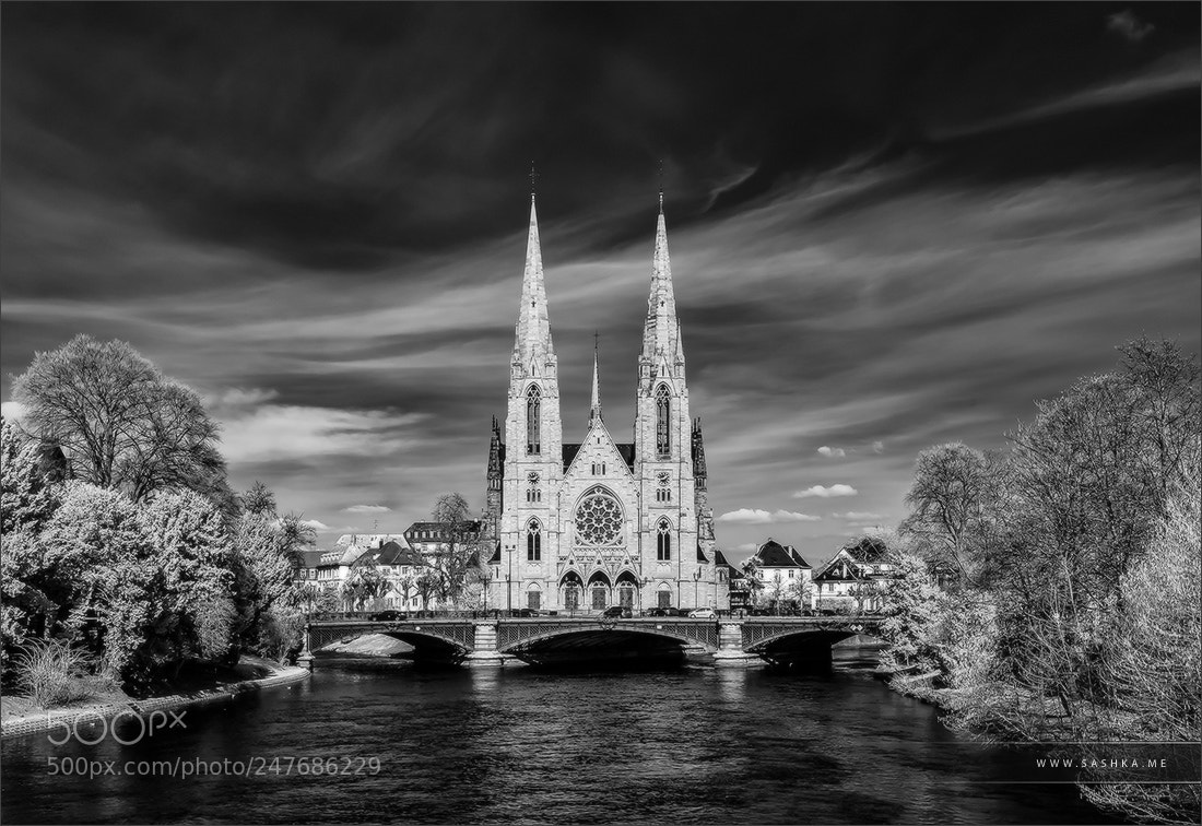 Sony Alpha DSLR-A230 sample photo. Strasbourg photography