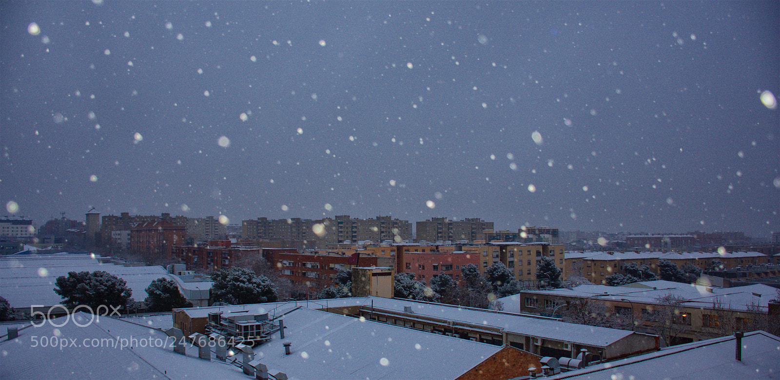 Nikon D7200 sample photo. It never snows in photography