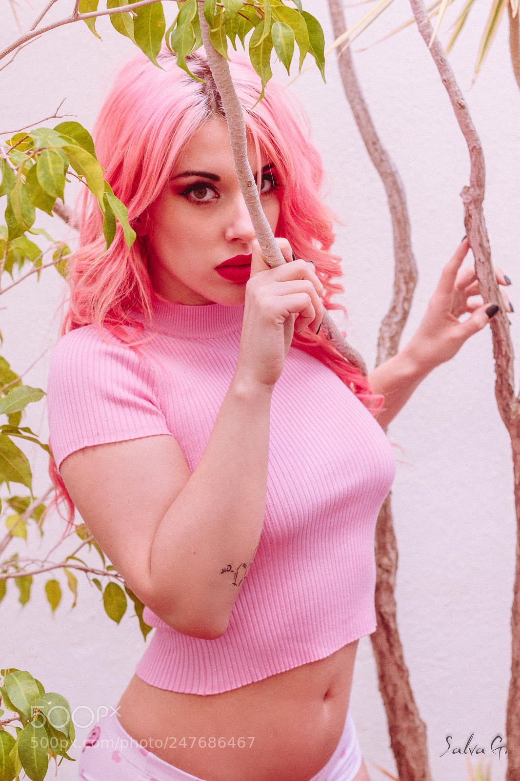 Canon EOS 550D (EOS Rebel T2i / EOS Kiss X4) sample photo. Pink dreams photography