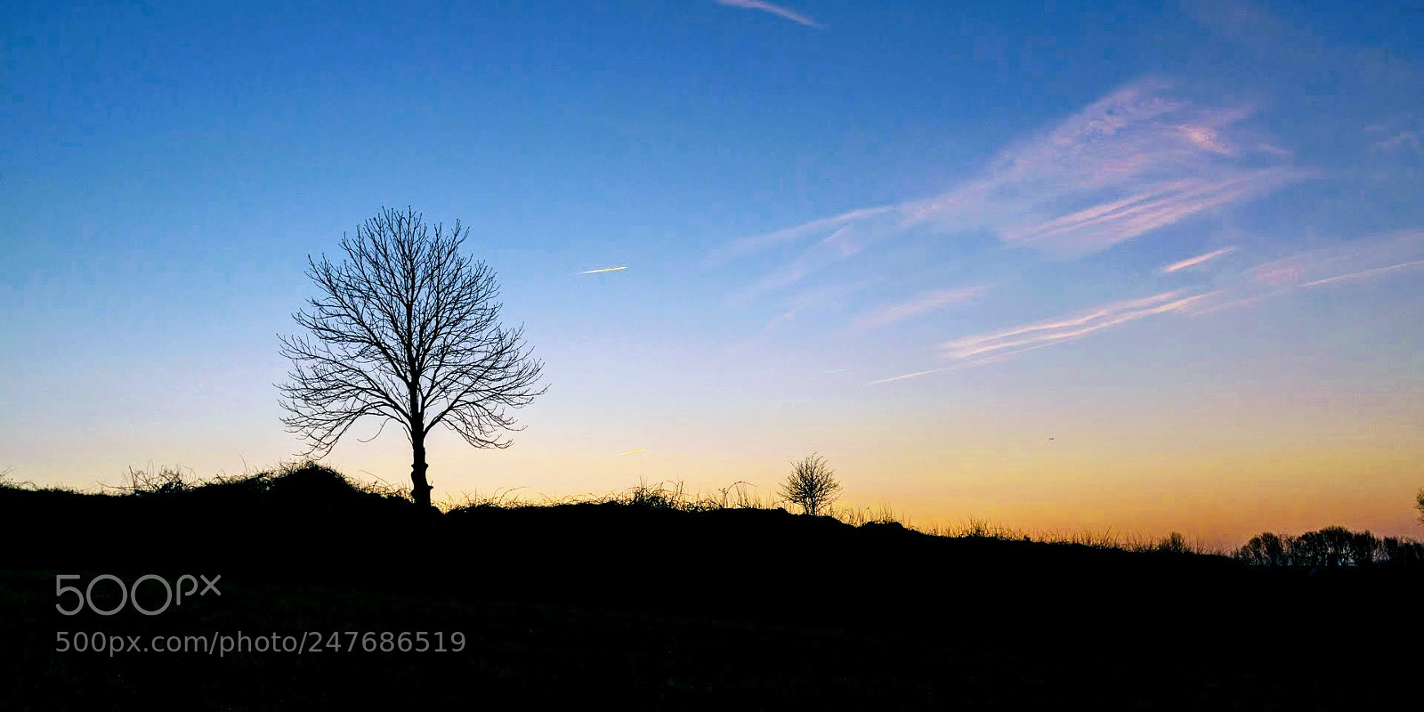 Nikon D800 sample photo. Alone photography