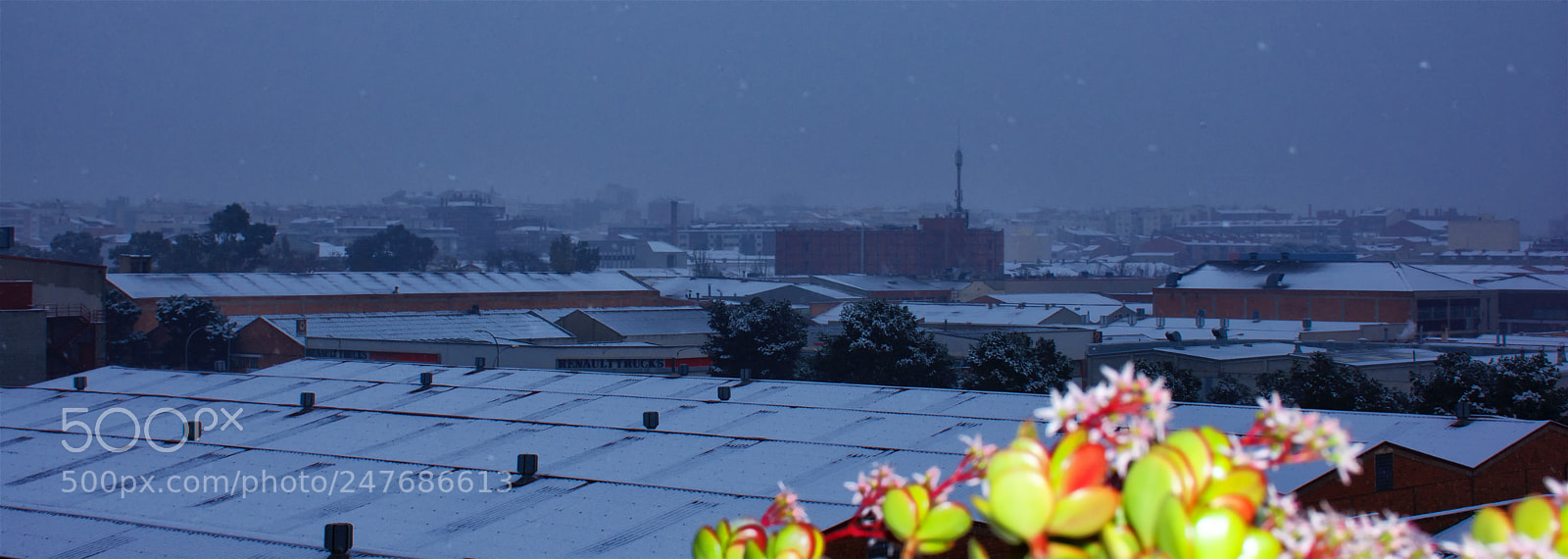 Nikon D7200 sample photo. Nieva. photography