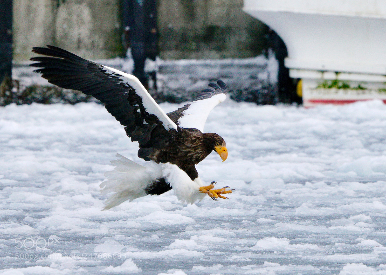 Sony a99 II sample photo. Landing gear photography