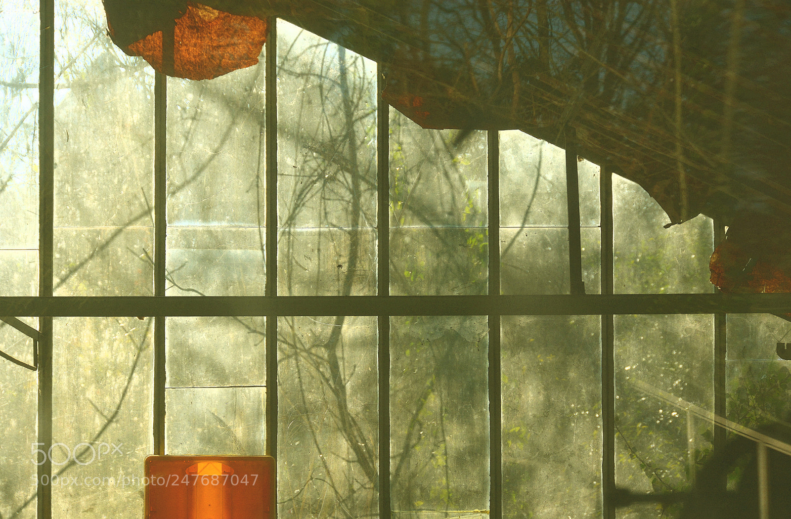 Nikon D7100 sample photo. La prise de risque... photography
