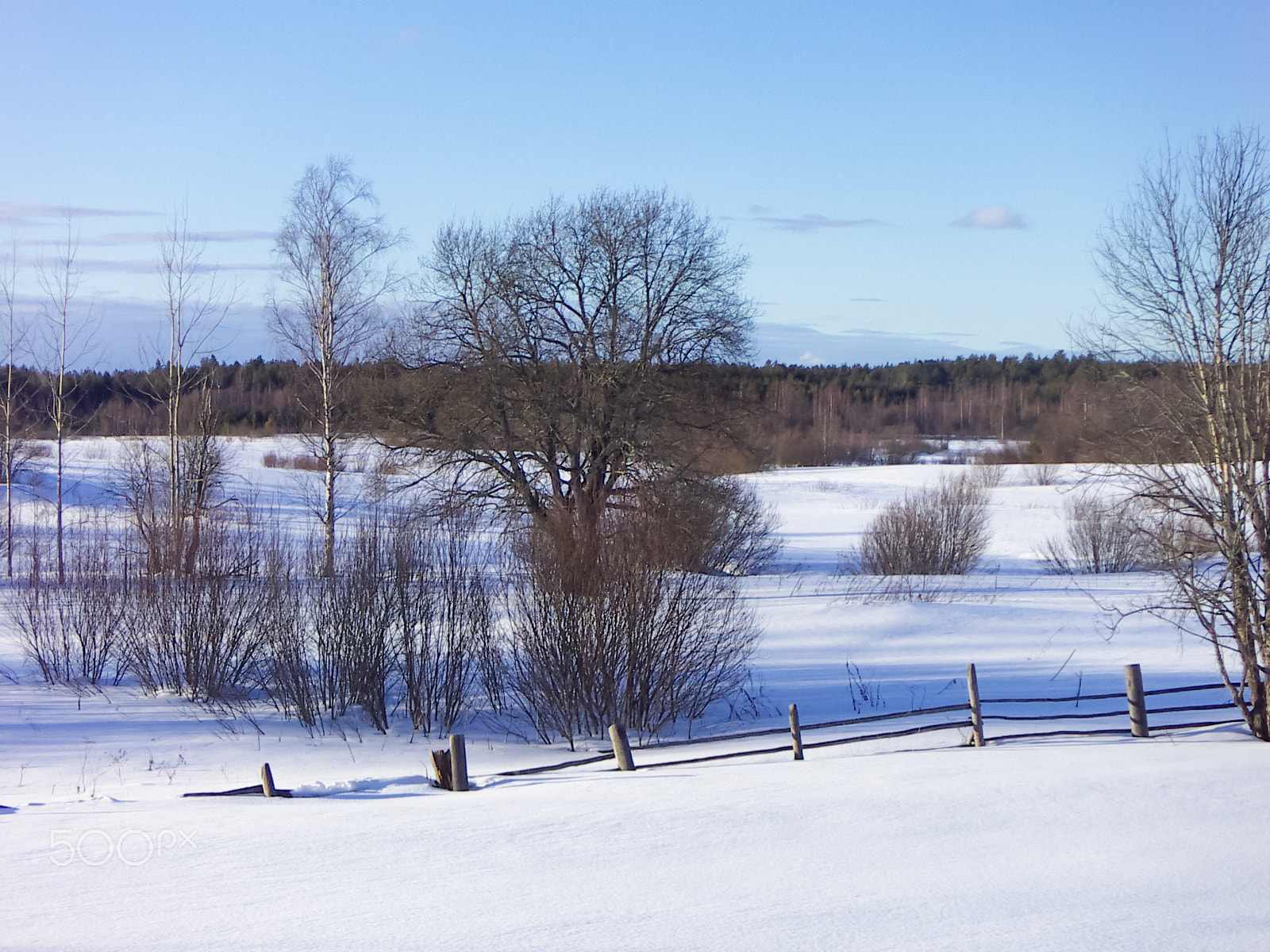 KONICA MINOLTA DiMAGE X31 sample photo. Clear winter day_2 photography