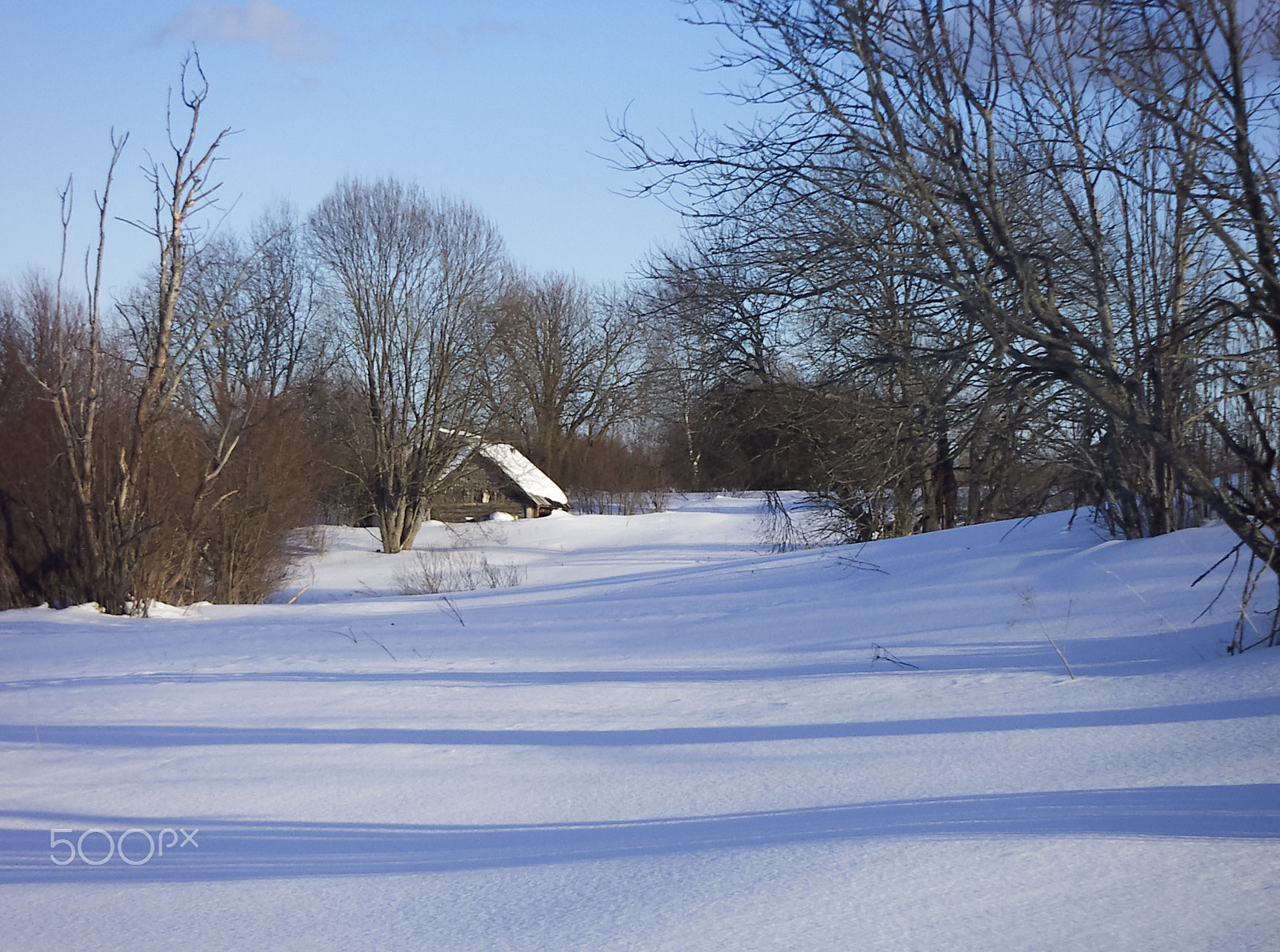 KONICA MINOLTA DiMAGE X31 sample photo. Clear winter day_3 photography