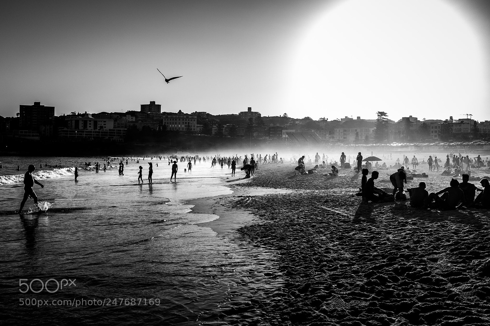 Fujifilm X100F sample photo. Bondi beach - random photography