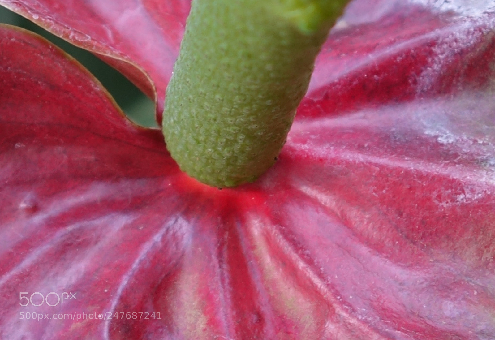 Sony Cyber-shot DSC-RX100 II sample photo. Fls vn a() photography