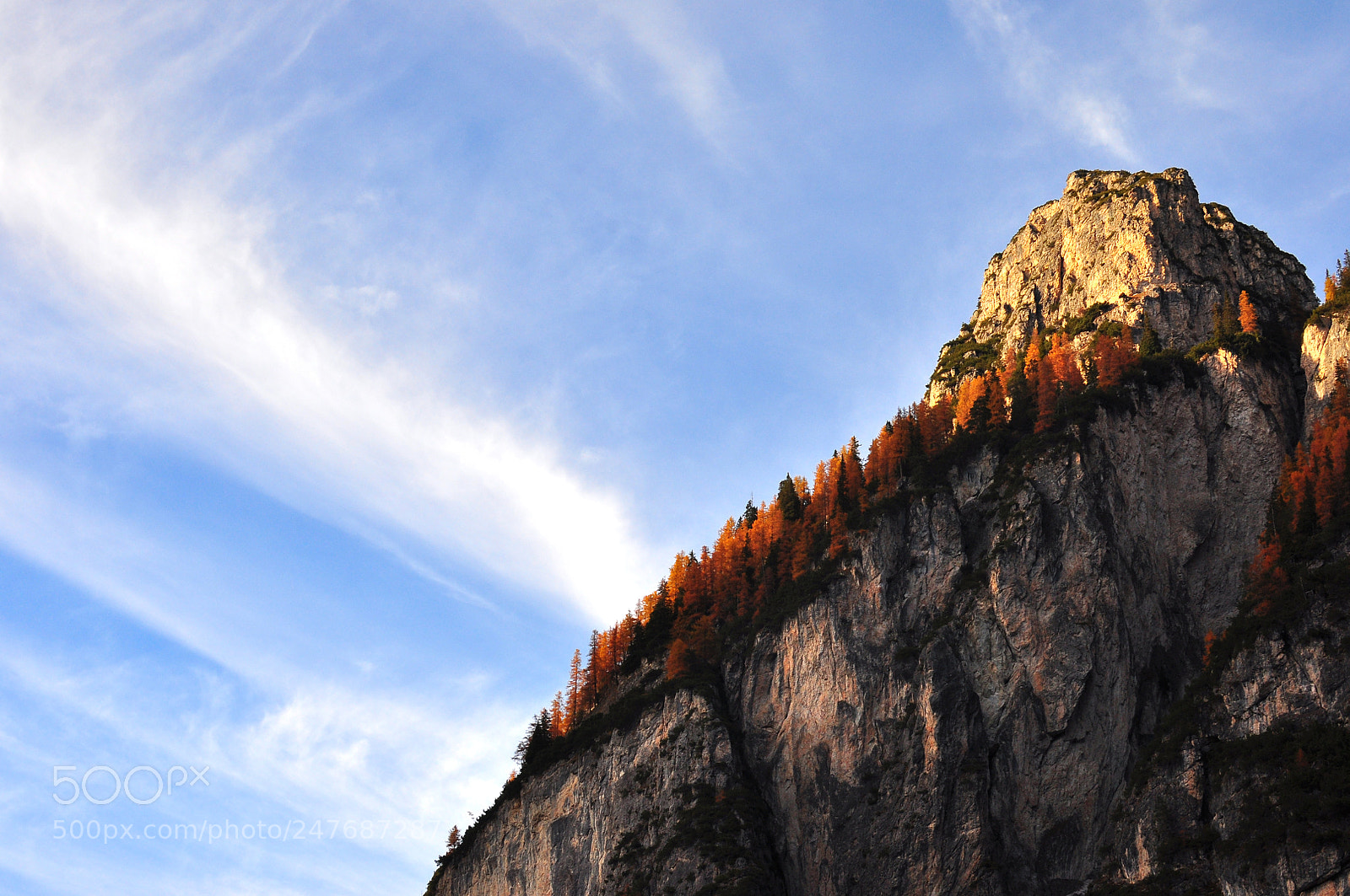 Nikon D90 sample photo. Half sky photography