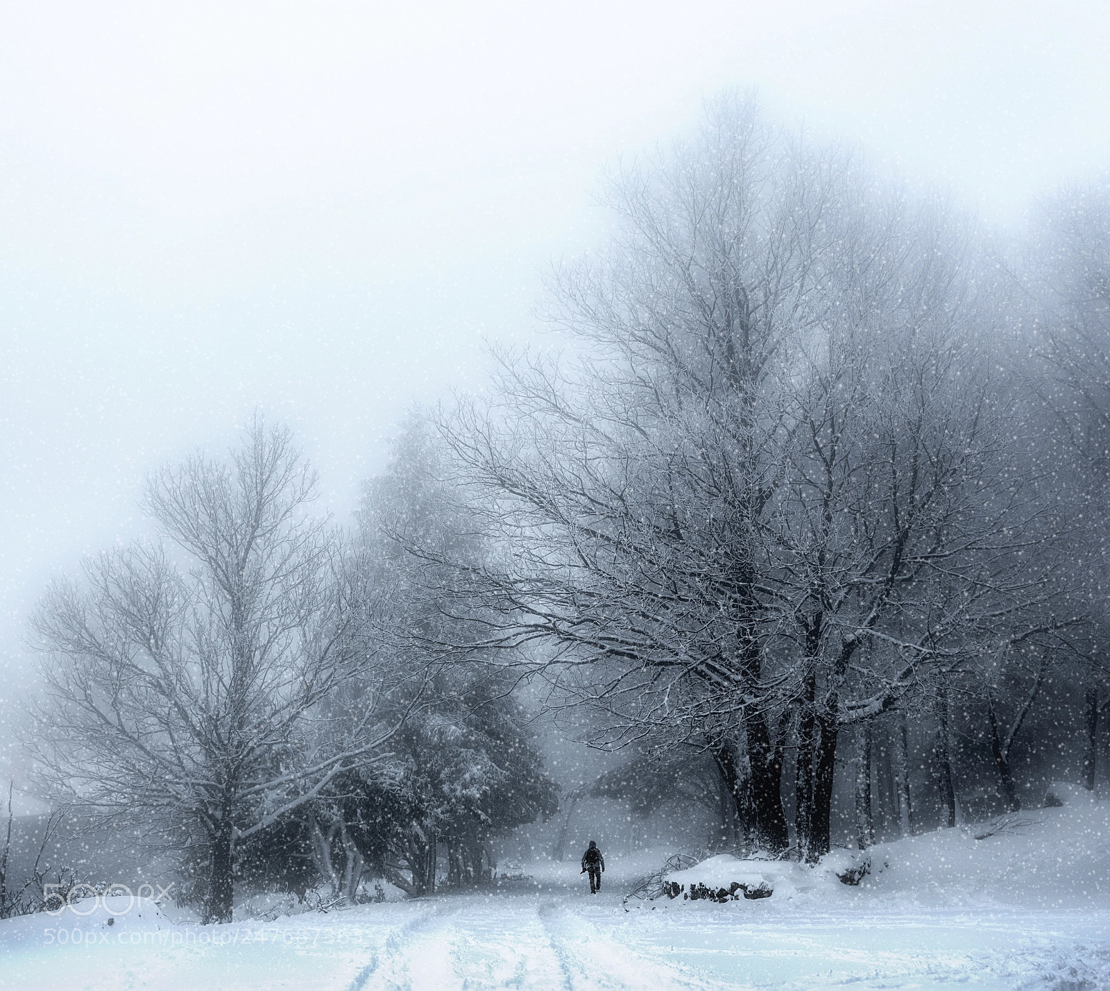 Nikon D7200 sample photo. Cold atmosphere photography