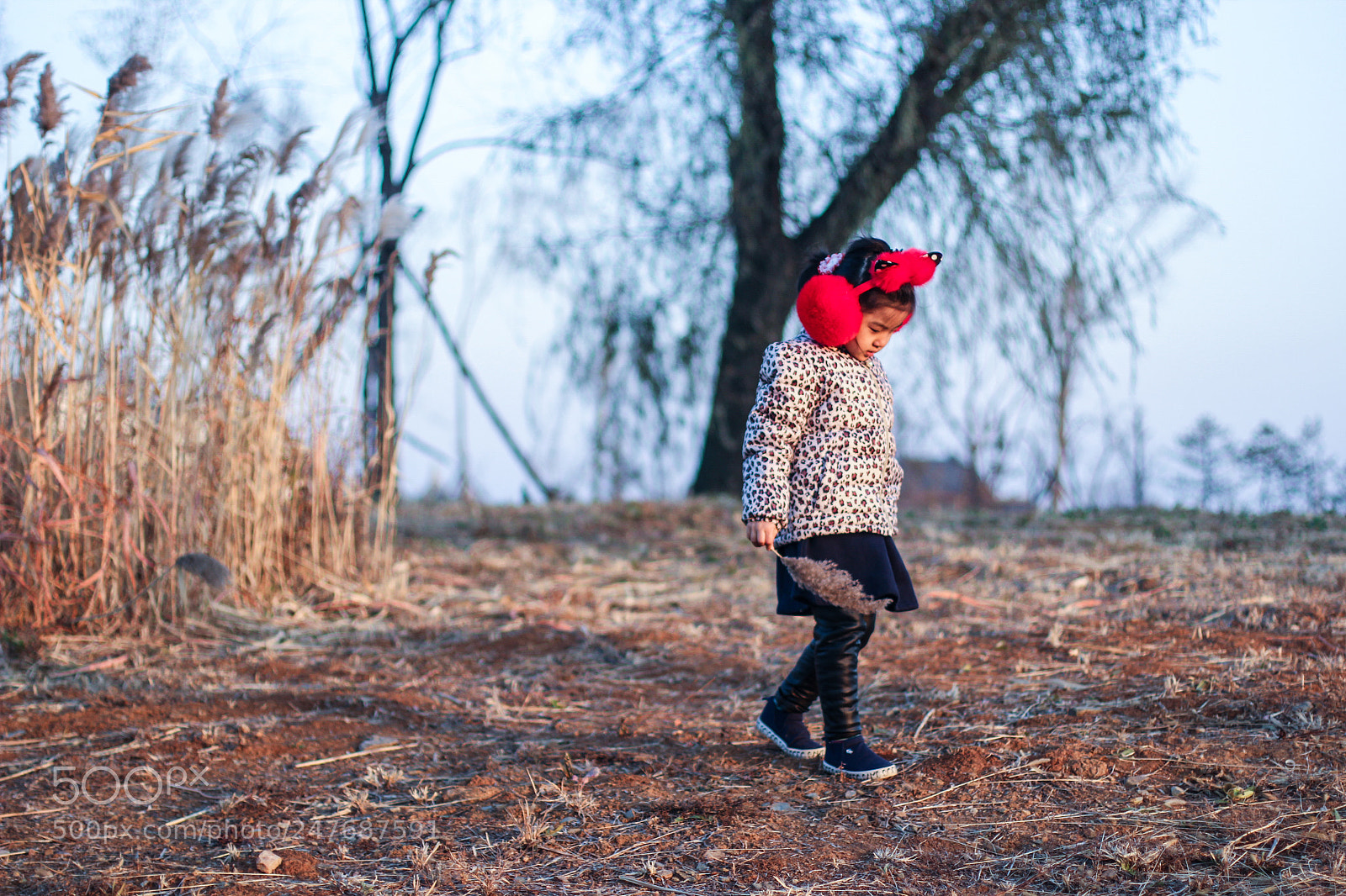 Canon EOS 60D sample photo. 初冬 photography