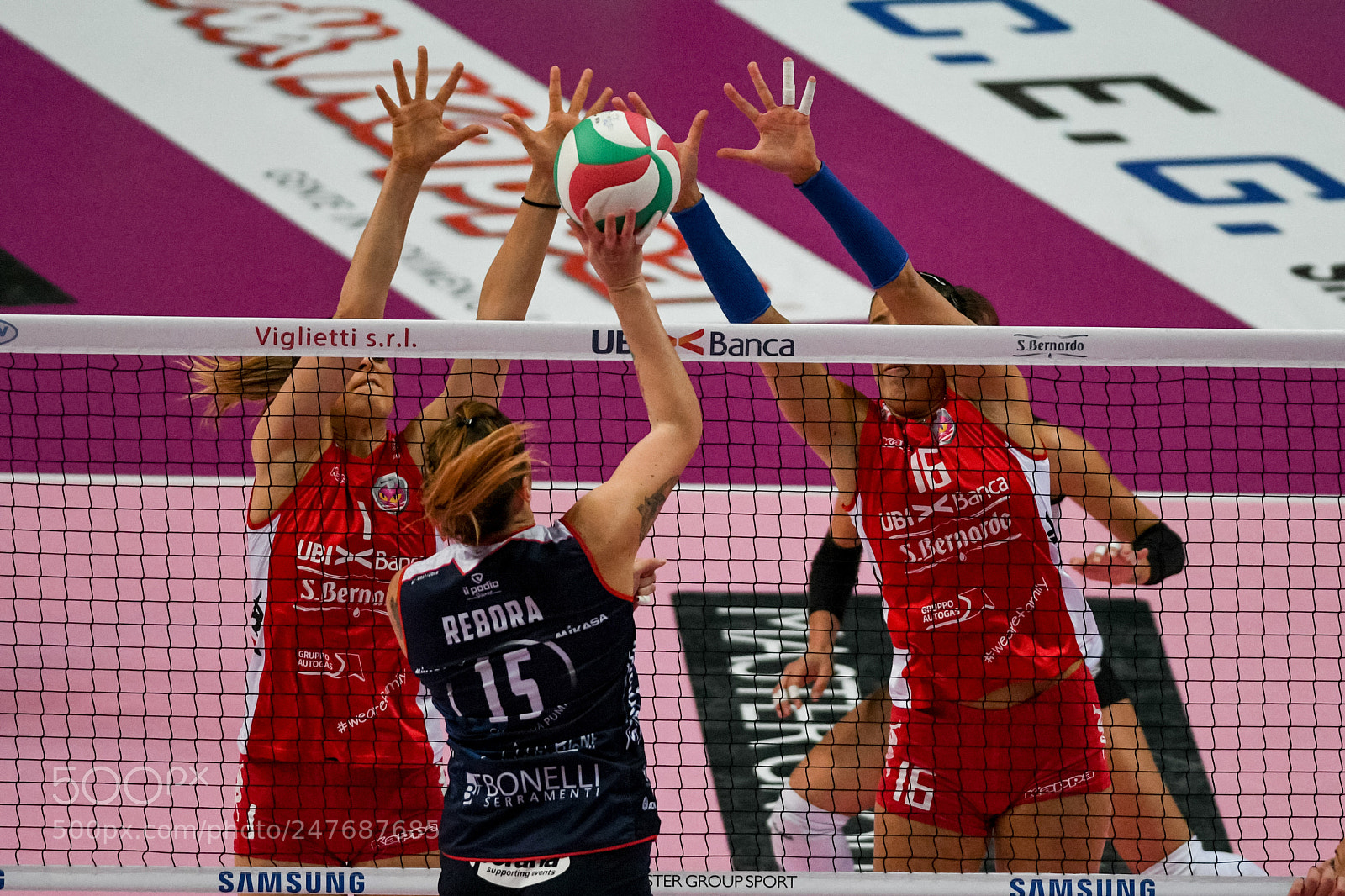 Nikon D500 sample photo. Volley photography