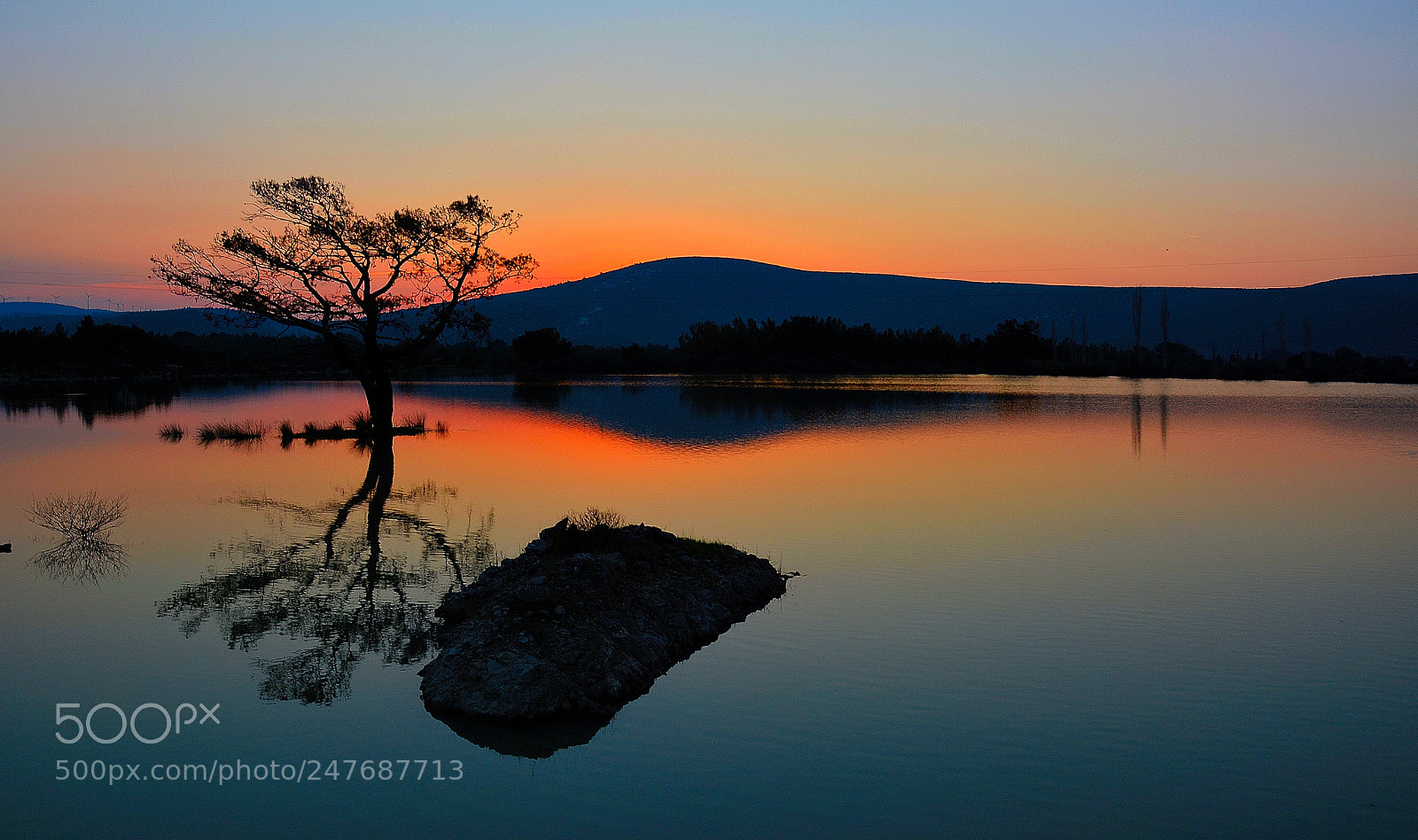 Nikon D7100 sample photo. Tree-sunset photography