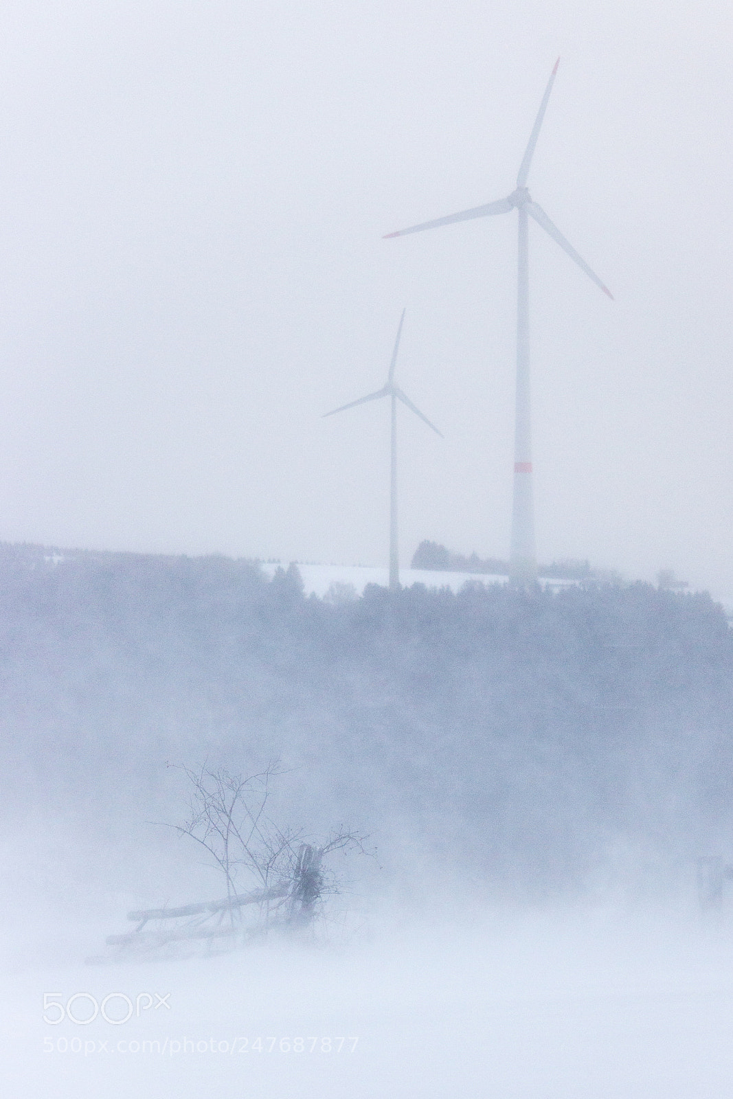 Canon EOS 700D (EOS Rebel T5i / EOS Kiss X7i) sample photo. Blizzard photography