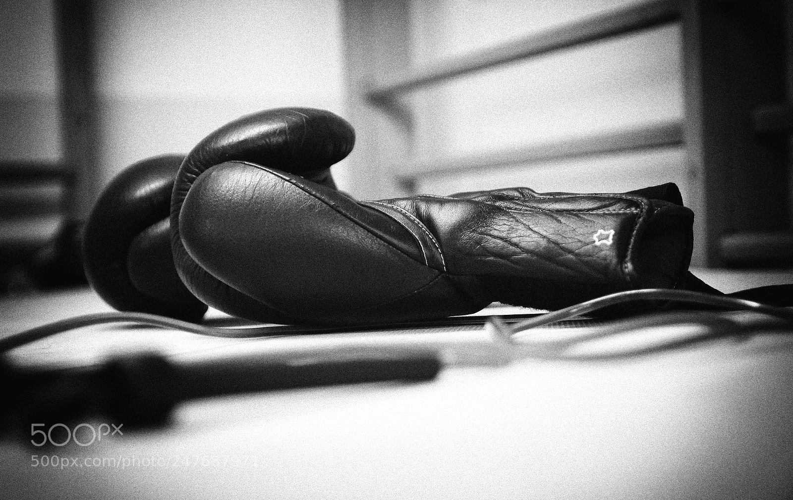 Canon EOS 50D sample photo. Life is a fight photography