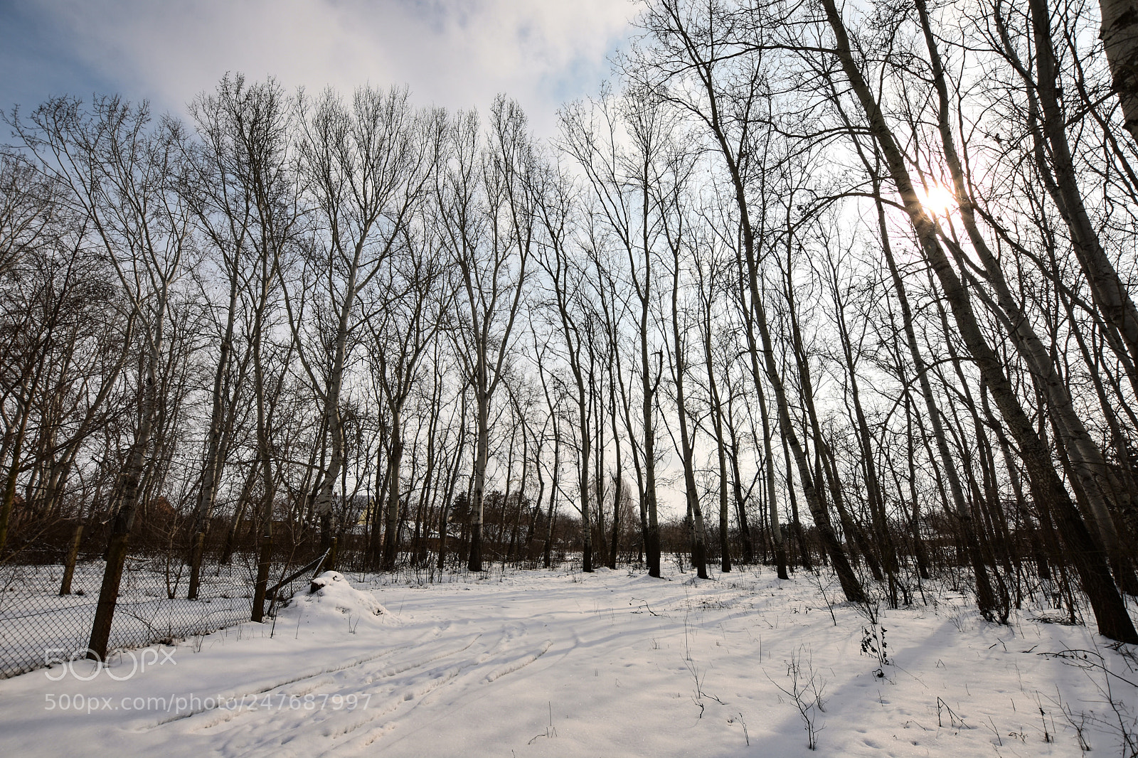 Nikon D7200 sample photo. Untitled photography