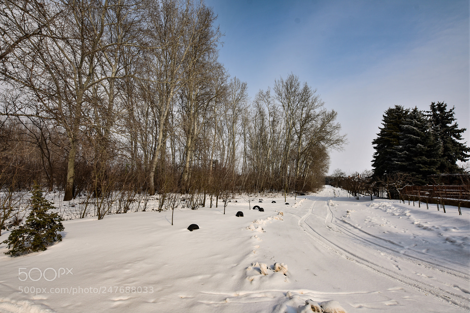 Nikon D7200 sample photo. Untitled photography