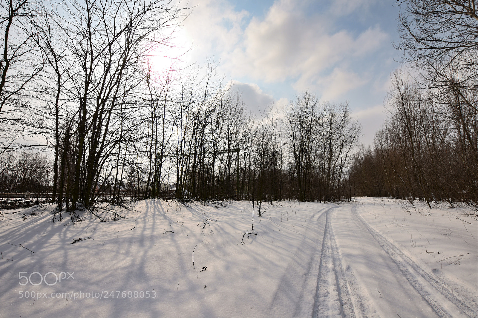 Nikon D7200 sample photo. Untitled photography