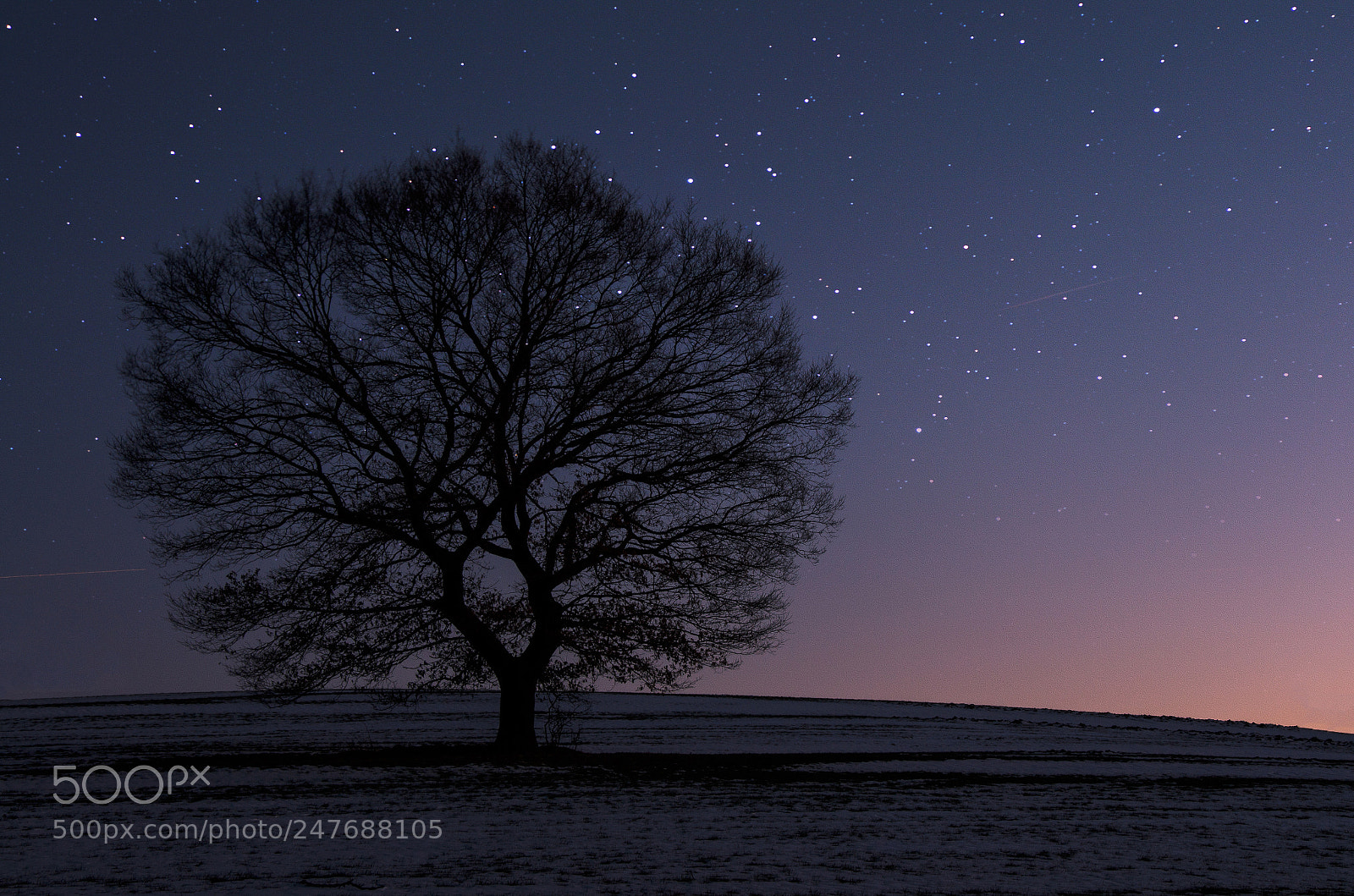 Nikon D5100 sample photo. Stars photography