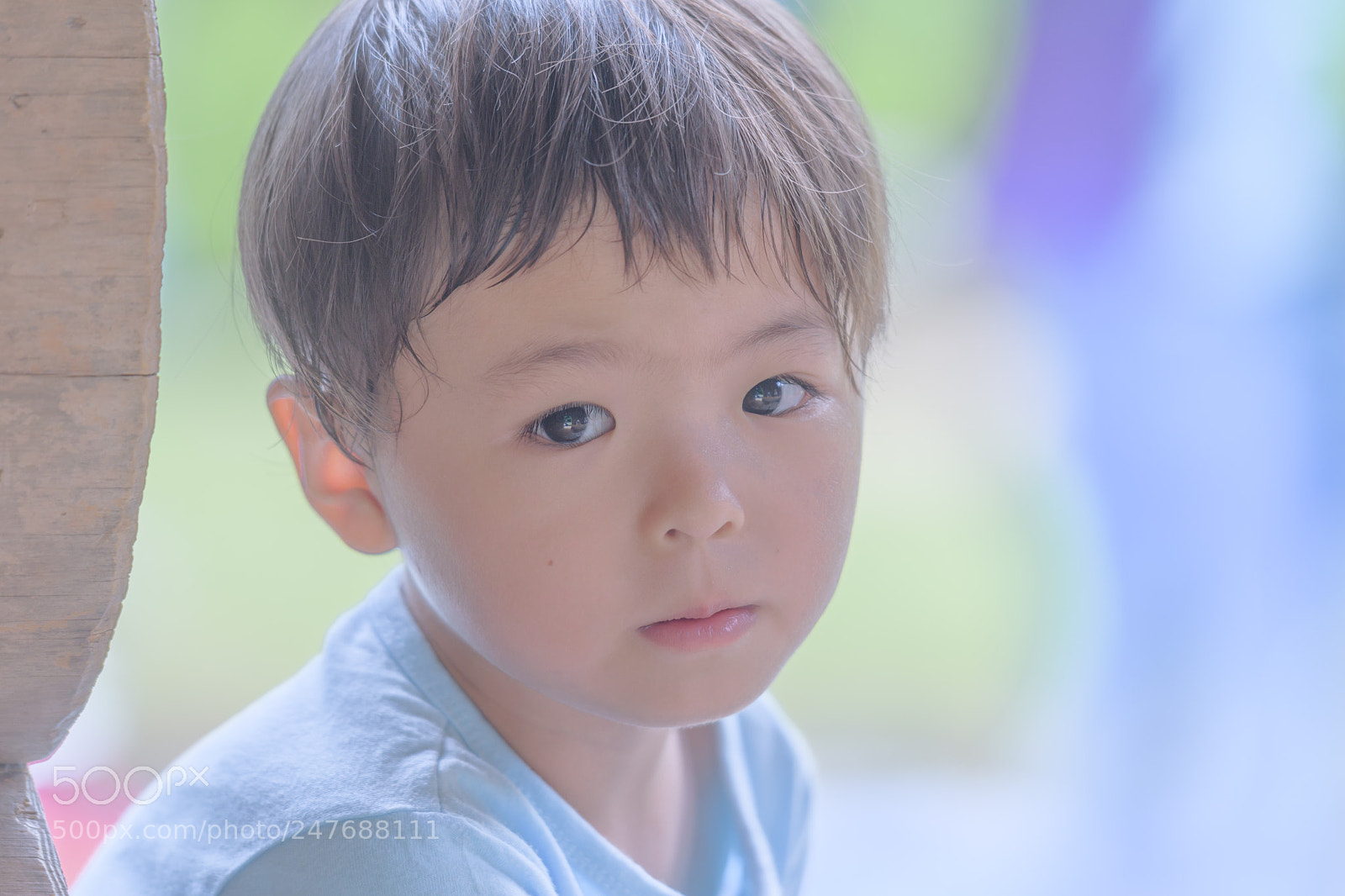 Nikon D500 sample photo. Melancholy photography