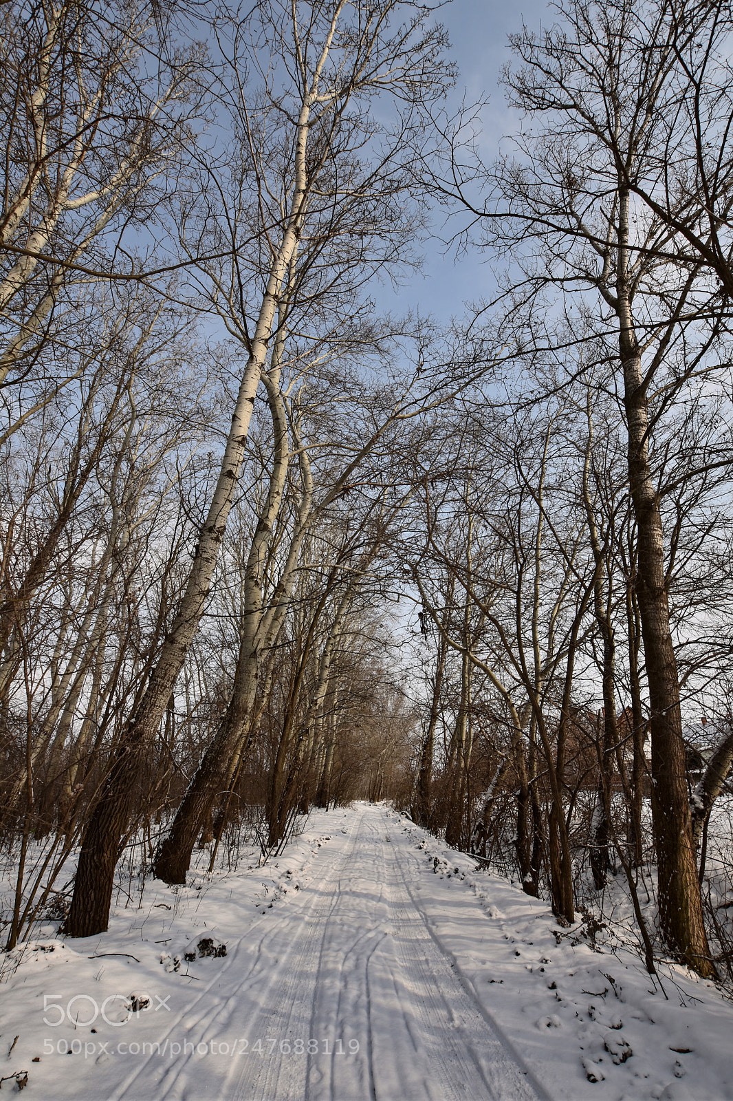 Nikon D7200 sample photo. Untitled photography
