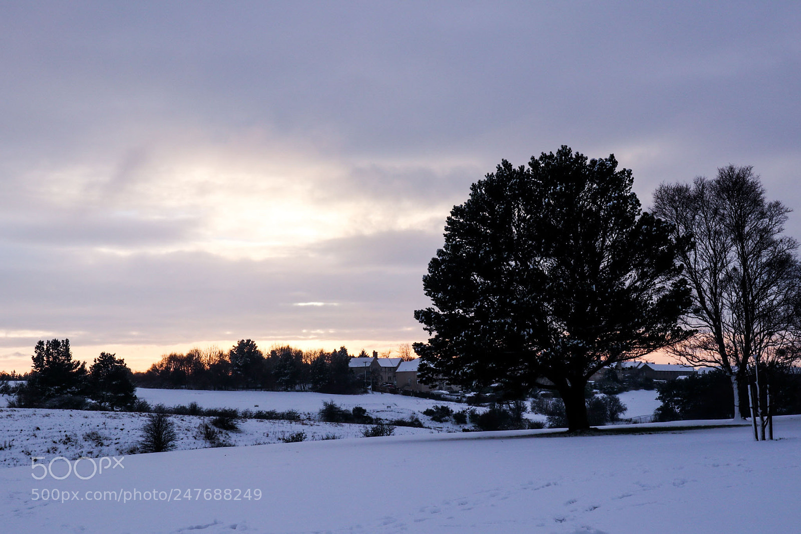 Canon EOS M6 sample photo. White out photography