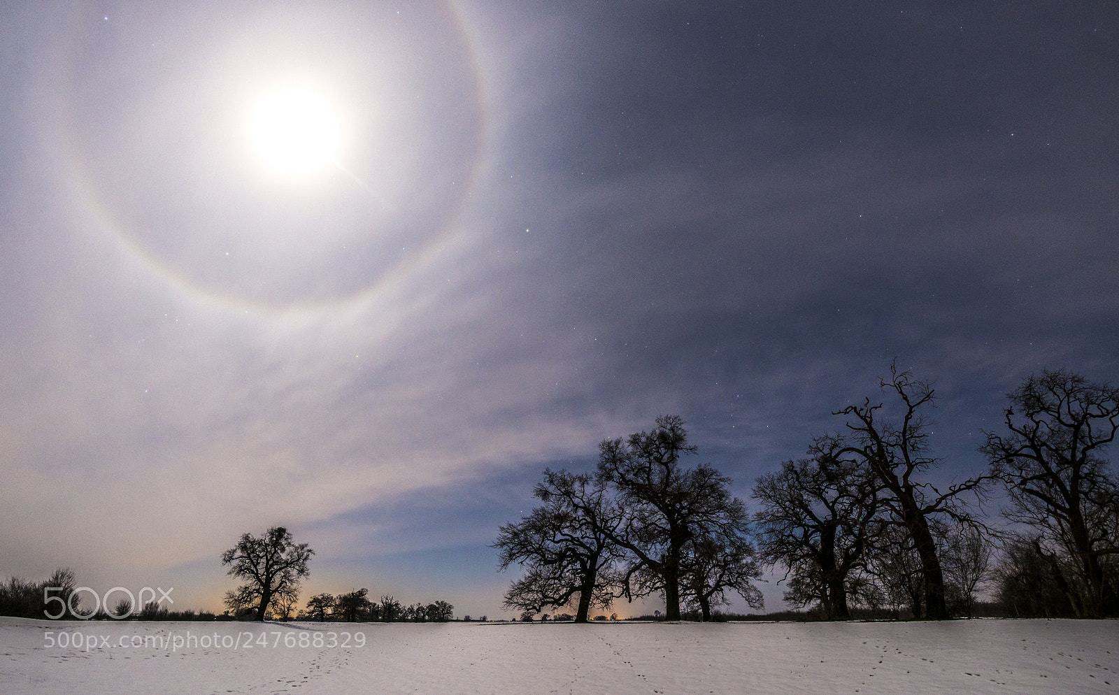 Nikon D610 sample photo. Rainbow photography