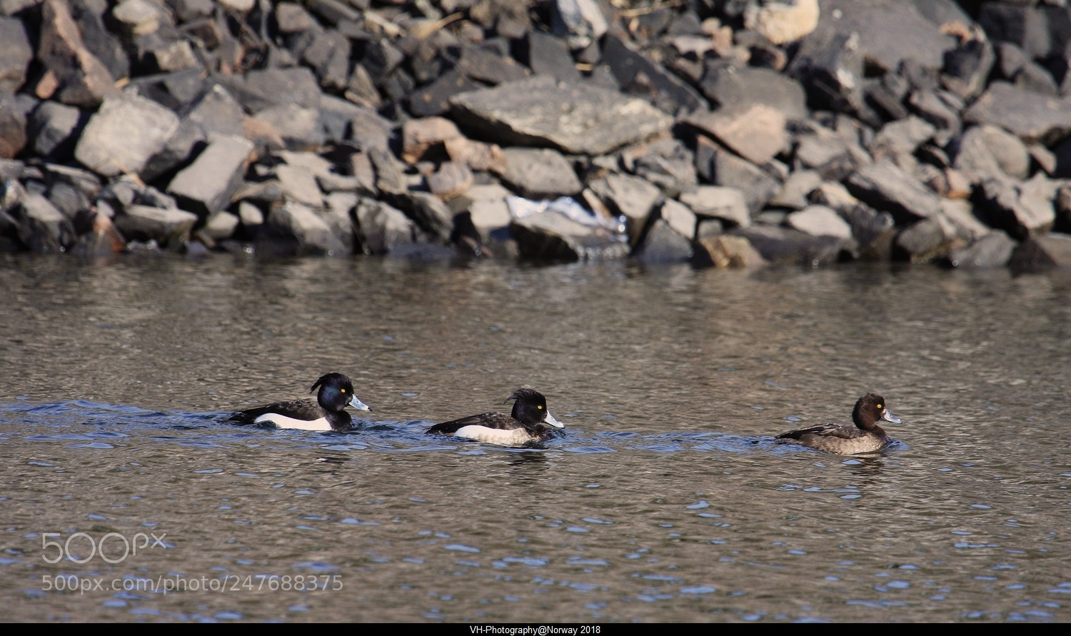 Canon EOS 40D sample photo. 2 males and a female photography
