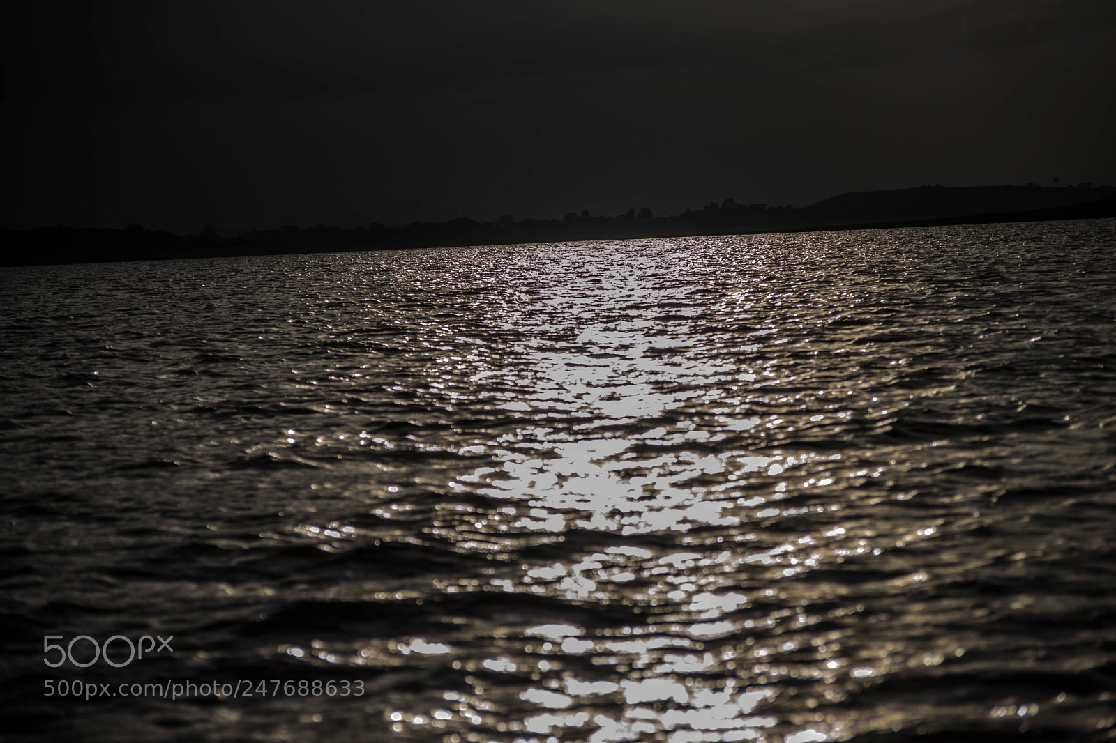Nikon D5500 sample photo. Kabini backwaters photography