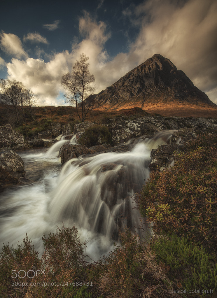 Nikon D800 sample photo. Buachaille etive mòr. photography