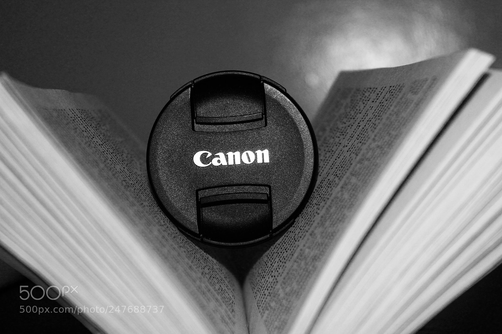 Canon EOS 1100D (EOS Rebel T3 / EOS Kiss X50) sample photo. Between the words photography