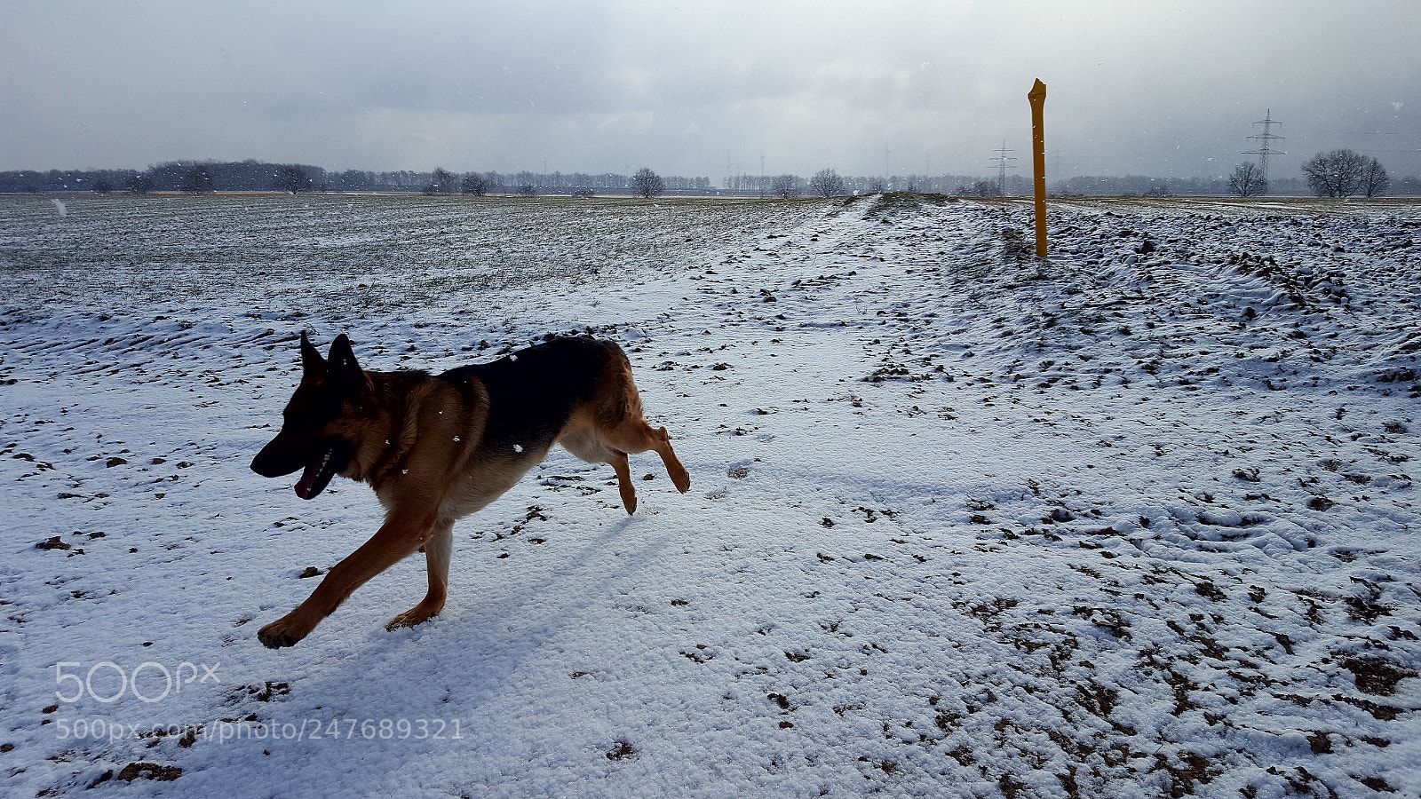 Samsung GALAXY S6 edge sample photo. Schnee photography